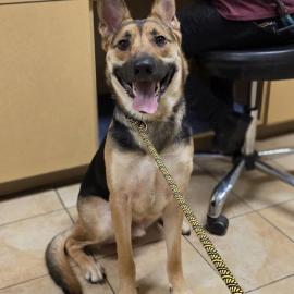 Photo for 160928 [390094]