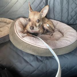 Photo for 160942 [fr160942]