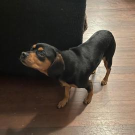 Photo for 160946 [fr160946]