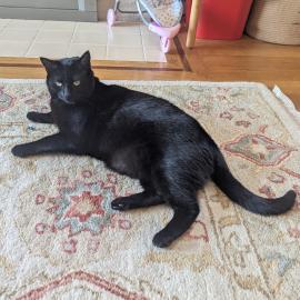 Photo for 160948 [Margaux]