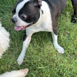 Photo for 160955 [fr160955]