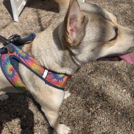 Photo for 160976 [fr160976]