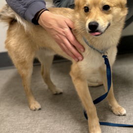 Photo for 160995 [fr160995]