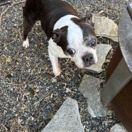 Photo for 160997 [fr160997]