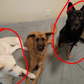 Photo for 161009 [Flokie]