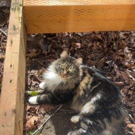 Photo for 161011 [Pluto]