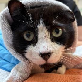 Photo for 161021 [390195]