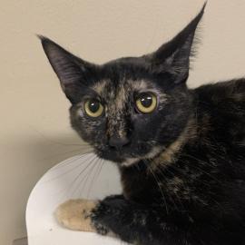 Photo for 161037 [Mallory]