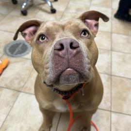 Photo for 161041 [390206]