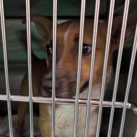 Photo for 161043 [Sassabelle]