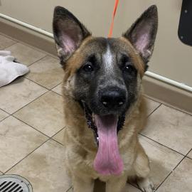 Photo for 161049 [390211]