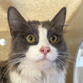 Photo for 161053 [390213]