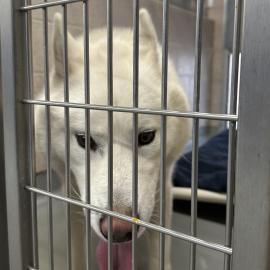 Photo for 161066 [390215]