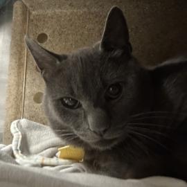 Photo for 161069 [Cloud]