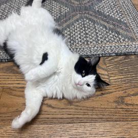 Photo for 161212 [Rosey]