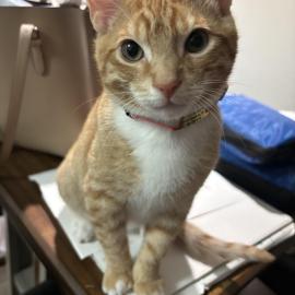 Photo for 161255 [Leny ]