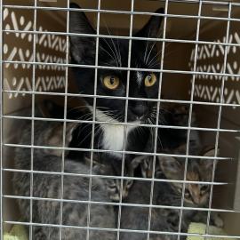 Photo for 161310 [390531]