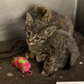 Photo for 161314 [390533]