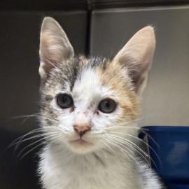 Photo for 161316 [390534]