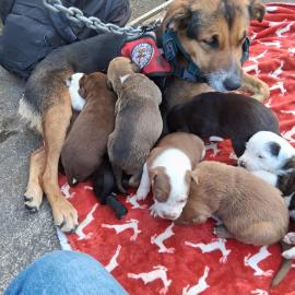 Photo for 161408 [Phelony]