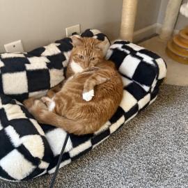 Photo for 161414 [Earl]