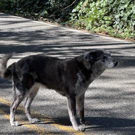 Photo for 161420 [fr161420]