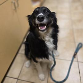 Photo for 161427 [390712]