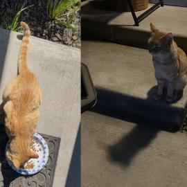 Photo for 161450 [fr161450]