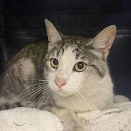 Photo for 161462 [390800]