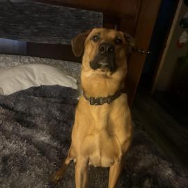 Photo for 161470 [Miller]