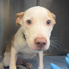 Photo for 161472 [390808]