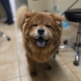 Photo for 161483 [390816]