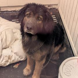 Photo for 161512 [Unknown]