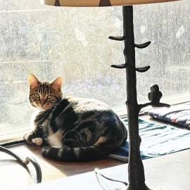 Photo for 161616 [Maggie]