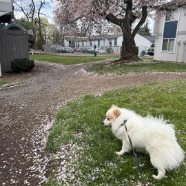 Photo for 161719 [Jinu]