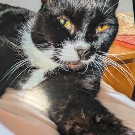 Photo for 161761 [Prince]