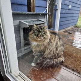 Photo for 161843 [Mitz/Doot]