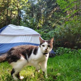 Photo for 161879 [Dinah]