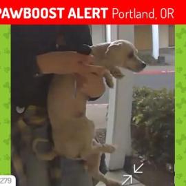 Photo for 161908 [Tessa]