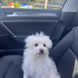 Photo for 161924 [fr161924]