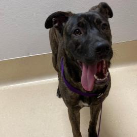 Photo for 161958 [ 347684]