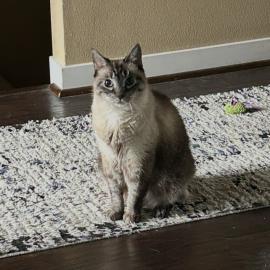 Photo for 161969 [Oliver]