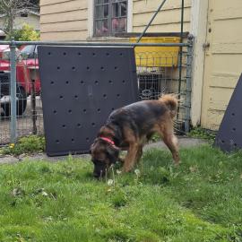 Photo for 161989 [fr161989]