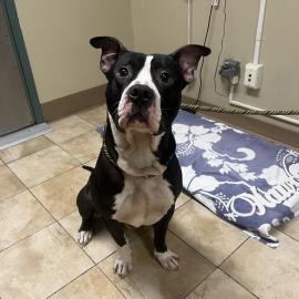 Photo for 161994 [391549]