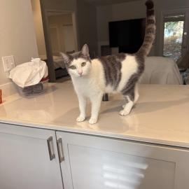 Photo for 162008 [Rosie]