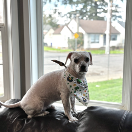 Photo for 162026 [Dolfy]