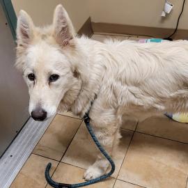 Photo for 162046 [391597]