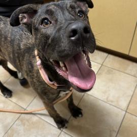 Photo for 162048 [391604]