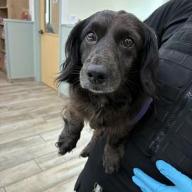 Photo for 162052 [391608]