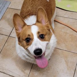 Photo for 162063 [391635]